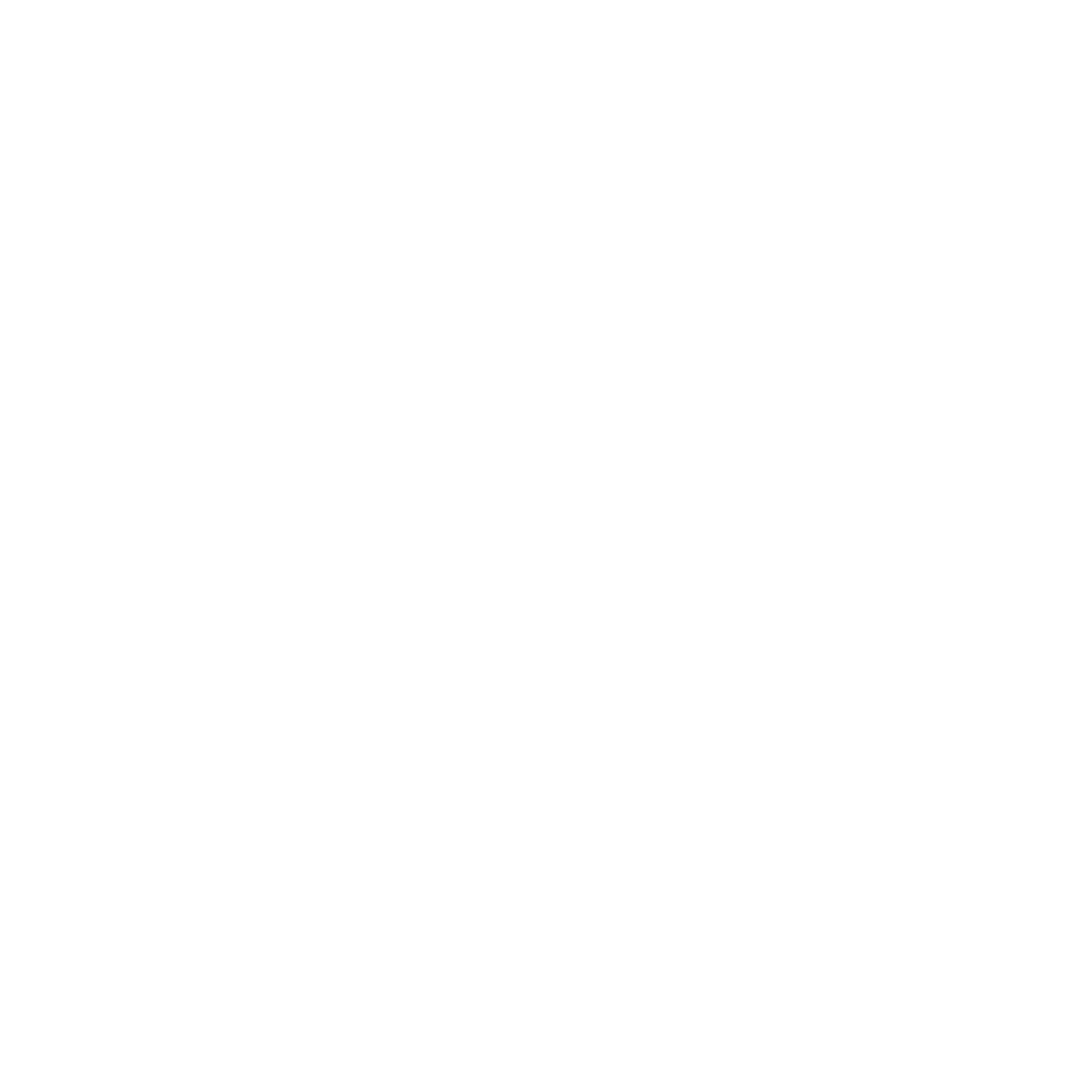 Corporate Holding Structure Design