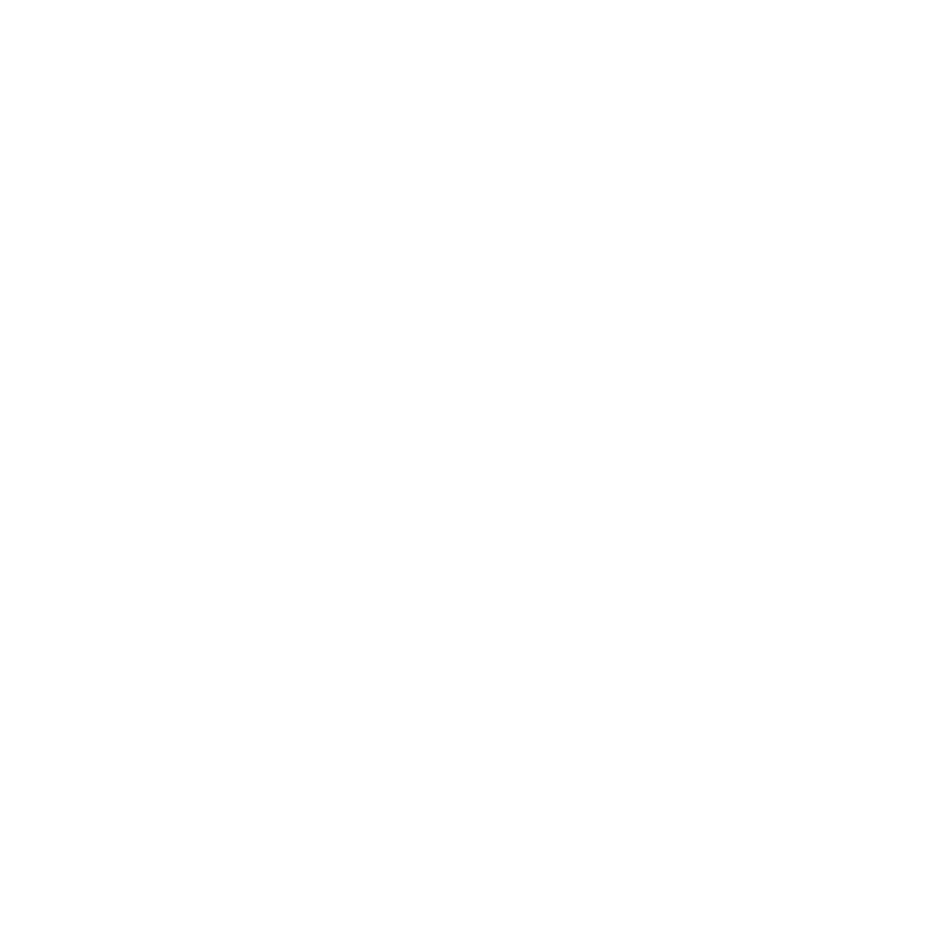 Holding Company Setup